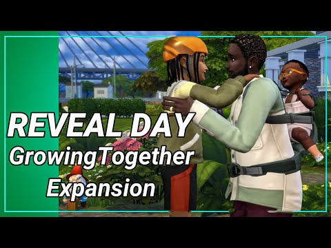 How To Get Fake Id Sims 4 Basmentals